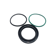 Сальник паливного насоса z22yh Opel VECTRA C 2.2 2002 — 2005 93174538 24465785 321550017 815049 1108150049